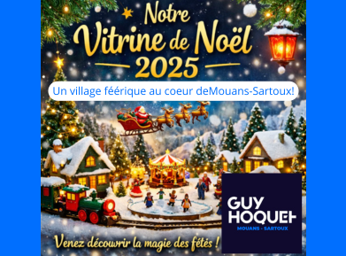 Vitrine de noel