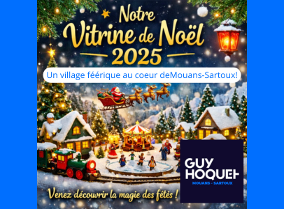 Un village féérique au coeur deMouans Sartoux!
